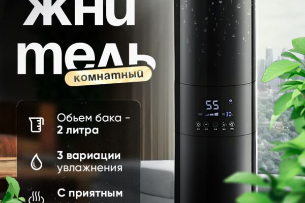 img4581945.png
