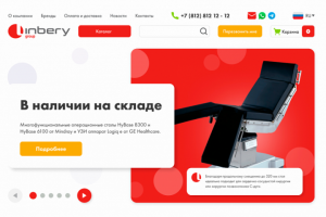 Создание интернет-магазина «Linbery»