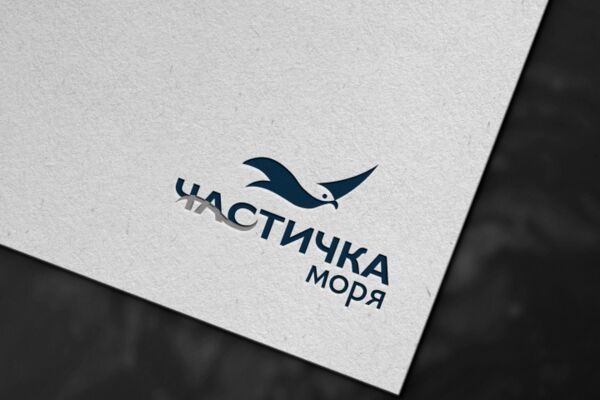 img4481769.png