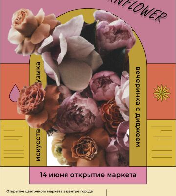 img4368602.png