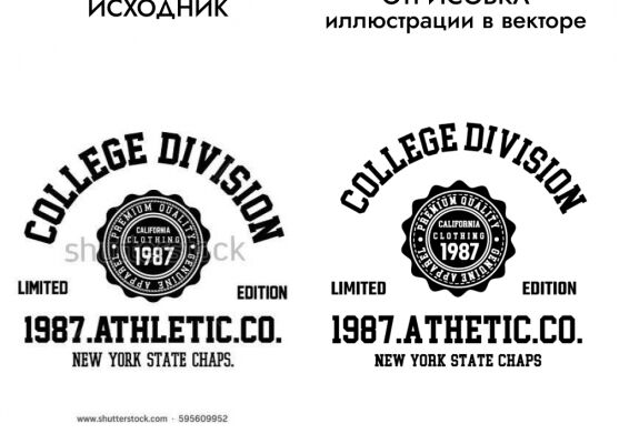 img4449448.png