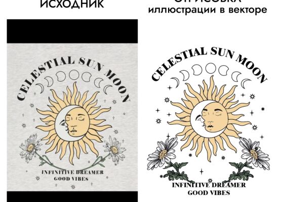 img4449446.png