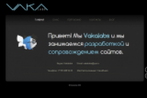 Сайт под ключ для Vakalabs