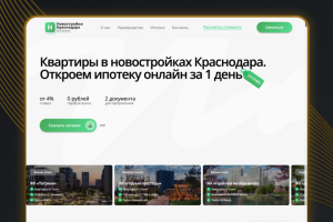 Конверсионный сайт под ключ для Агентства Недвижимости(кальк.)