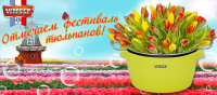 Баннер