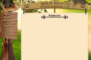 Сайт питомника бенгальских кошек