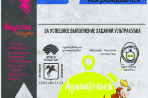 Авторский диплом