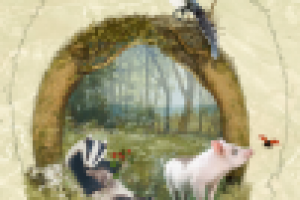 Иллюстрация детской книги