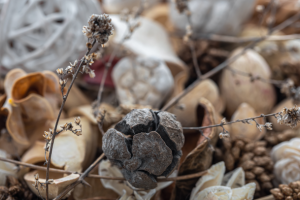 Макросъёмка