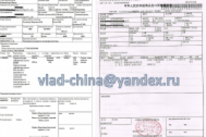 перевод экспортной декларации