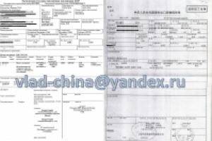 китайская экспортная декларация