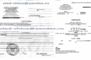 справка об отсутствии судимости Рус-Кит