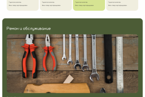 Дизайн лендинга для компании по перевозке цыплят и яиц