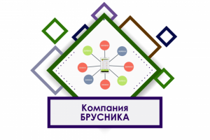 Видеоинструкция, анимация приложения от компании Brusnika