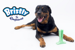Bristly