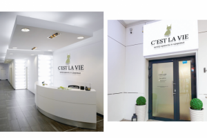 Разработка фирменного стиля и создание логотипа