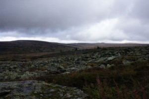 Фотографии природы