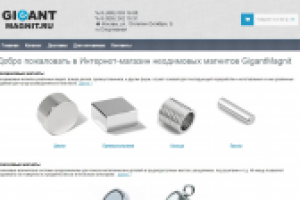 Рекламная кампания магазина магнитных материалов GigantMagnit.ru