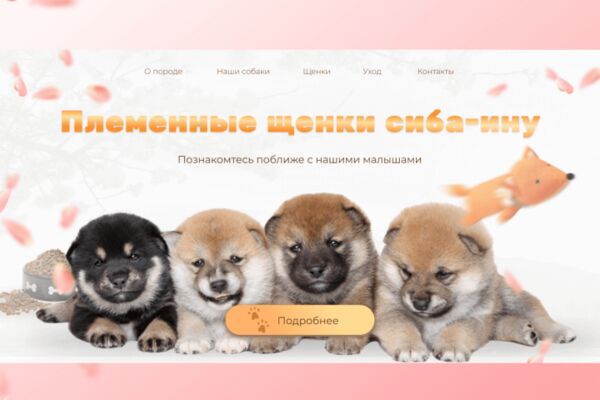 img4623551.png