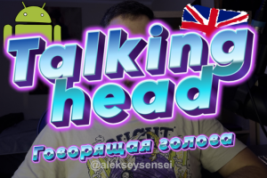 talking head (говорящая голова) software engineer