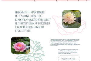 Дизайн-концепция