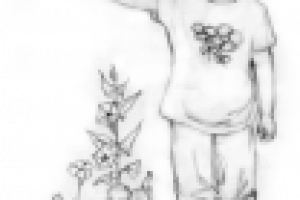 иллюстрация в книжку стихов