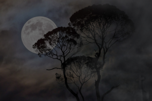 Чем привлекательны мистические художественные произведения