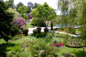 Продам авторскую песню "Мечта". Здесь фрагмент