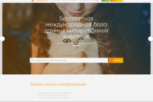 Адаптивная вёрстка