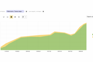 Продвижение сайта обслуживание 1с