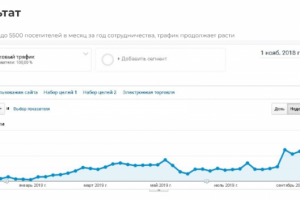 SEO Продвижение интернет-магазина автозапчастей с разборки
