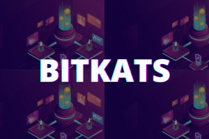 BITKATS. Landing-page