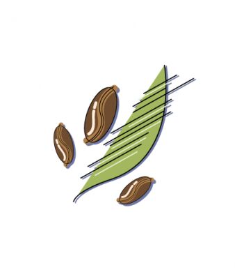 img4030334.png