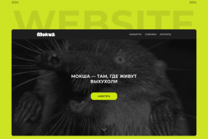 Многостаночный сайт на Tilda