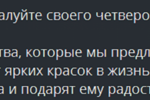 Рекламный текст для салона  "Лапы и хвост"