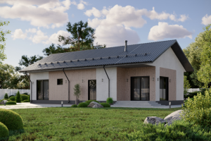 Экстерьер_06.11