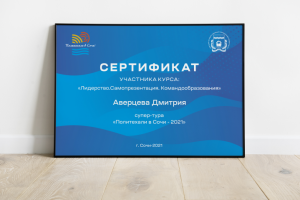 Разработка логотипа и мерча "Политехали в Сочи"