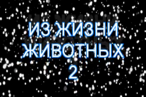 Из жизьни животных 2