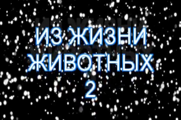 img4617843.png