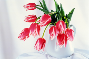 Пост для инстаграма