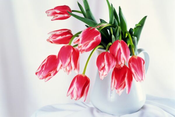 img3712201.png