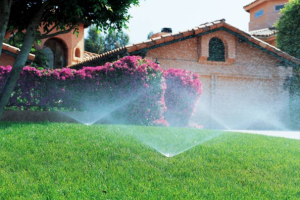 Проектирование автополива – это искусство