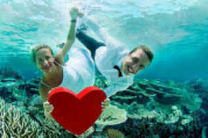 «Птица Счастья» - ваша неповторимая свадьба!