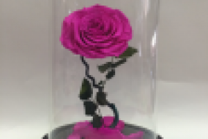 Роза в колбе