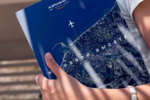 Инфографика для компании Аэрофлот