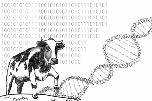 Генетическое продвижение