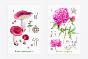 Акварельные открытки