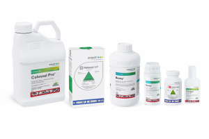 Мокапы для Avgust