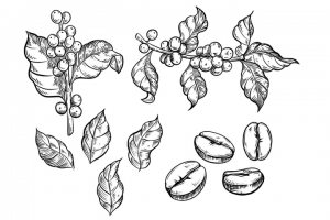 Классический стиль