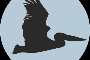 Утвержденный вариант логотипа медиагруппы Пеликан